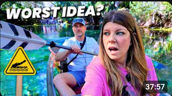 Every Way to See Florida Manatees