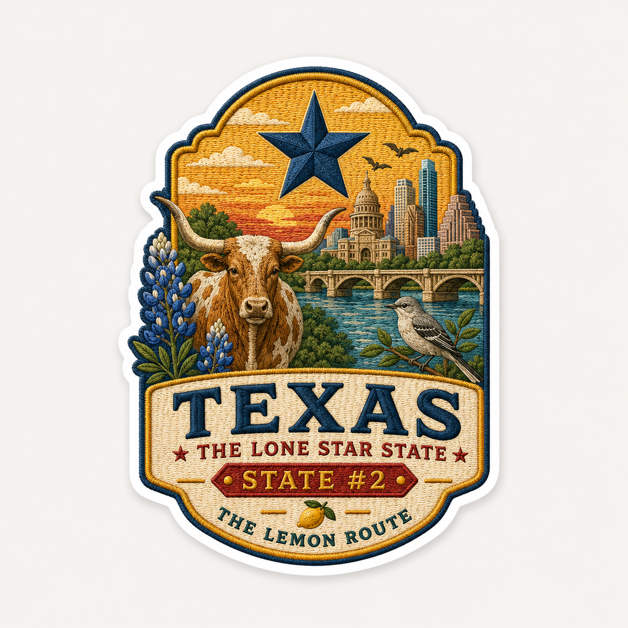 What to Do in Every State: The Vancaskeys Field Guide (TEXAS)